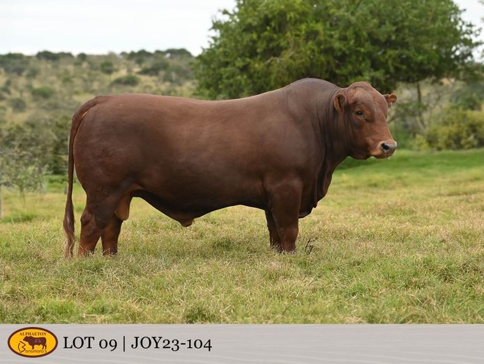 JOY230104 Pp(c) | FETTING LIVESTOCK TRUST