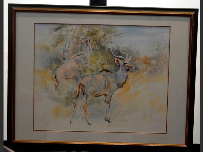 FRAMED WATERCOLOUR "KUDU" BY PATRICIA WILES, 57 x 45cm