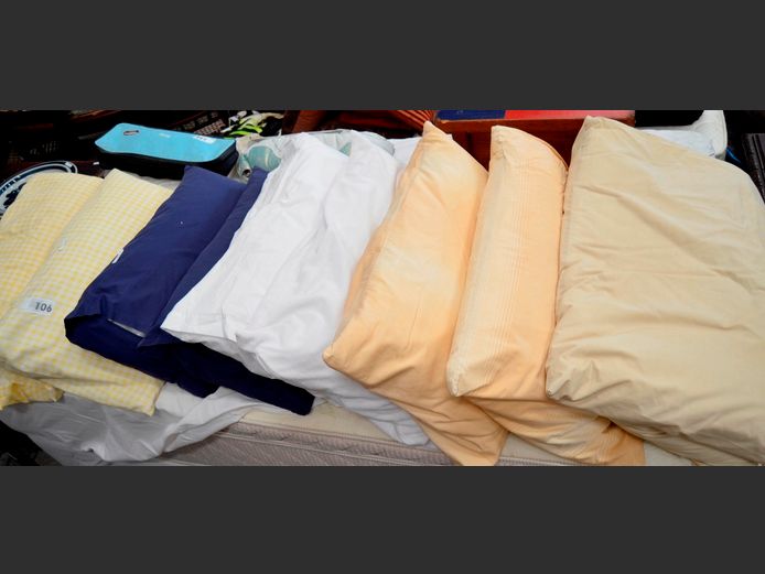 LOT: STANDARD PILLOWS WITH PILLOW CASES