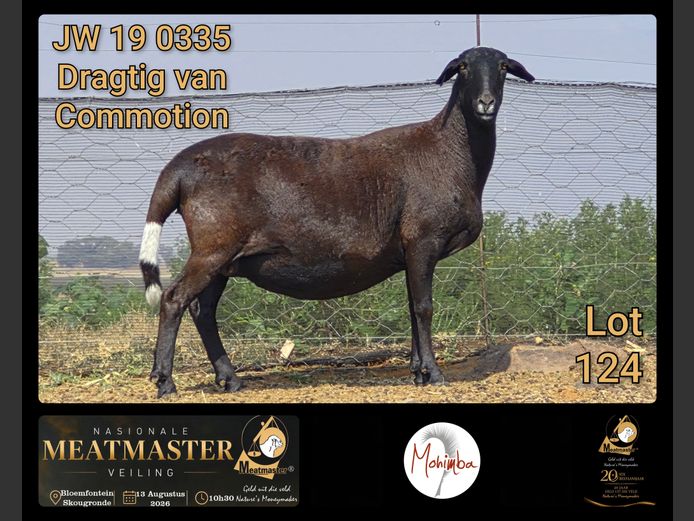 JW 19 0335 | Mohimba Meatmasters