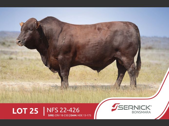NFS 220426 | SERNICK BONSMARA STOET