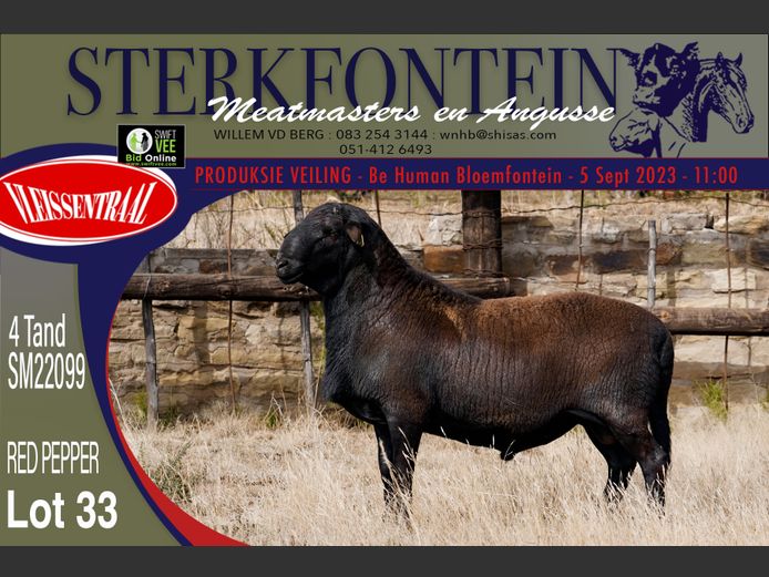 SM 22 099 | Sterkfontein Meatmasters