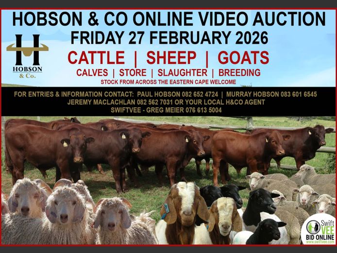 HOBSON & CO ONLINE VIDEO AUCTION