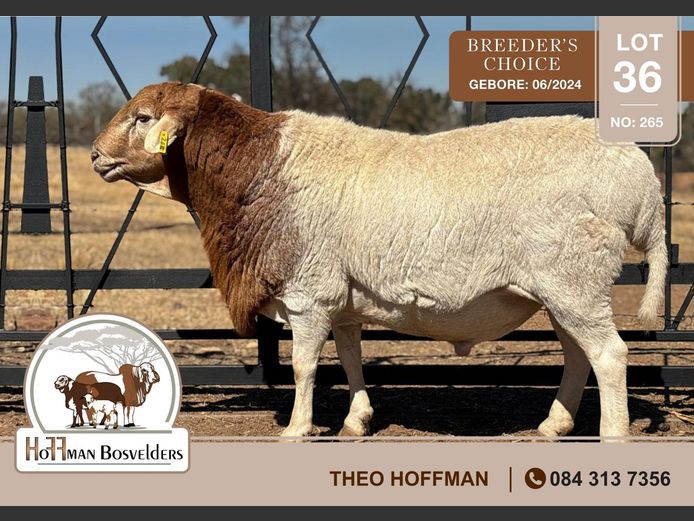 265 | HOFFMAN BOSVELDERS