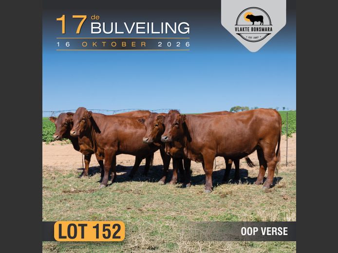 Commercial Animals | Kameeldoring Landgoed