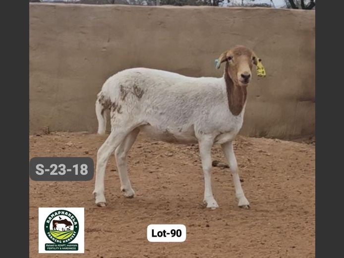 S-23-18 | RAMAPHAKELA FARMING HARVEST