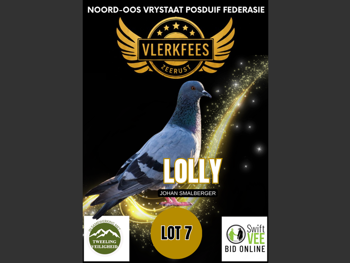 LOLLY | JOHAN SMALBERGER
