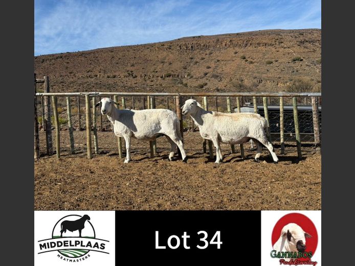 194 | Middelplaas Meatmasters