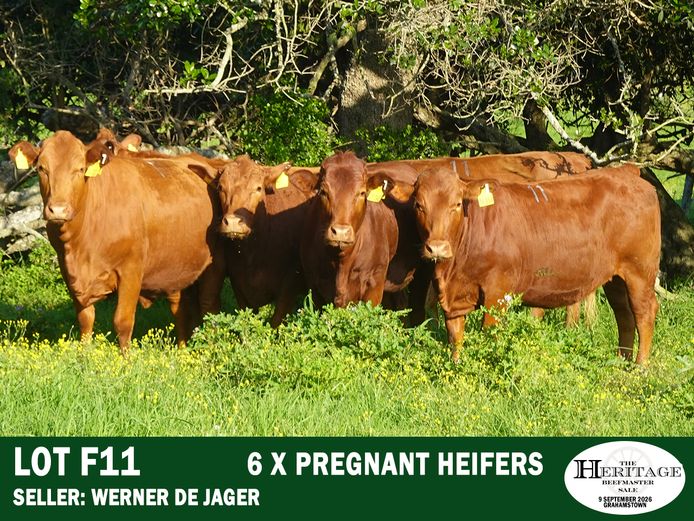 Commercial Animals | Werner ⁠de Jager