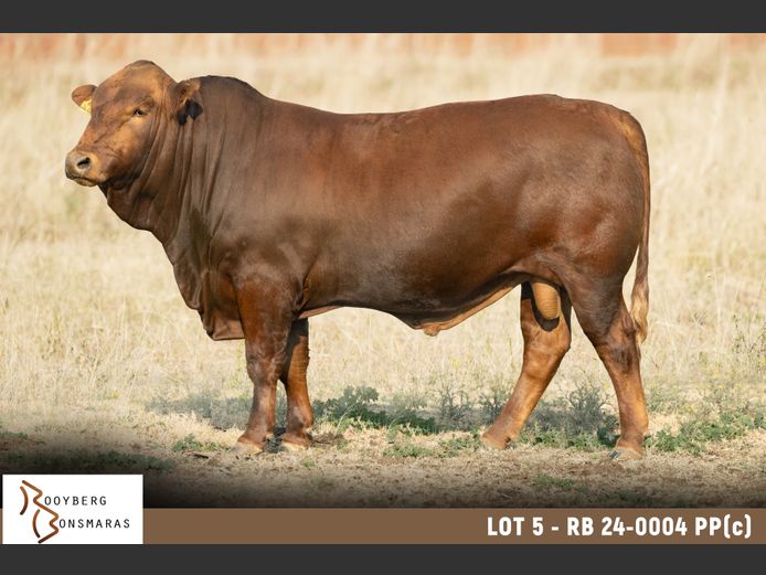 RB 240004 PP(c)| ROOYBERG BOERDERY