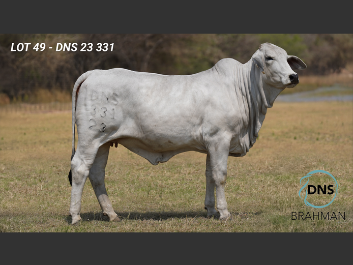 DNS23331 | JES-C BOERDERY (PTY) LTD