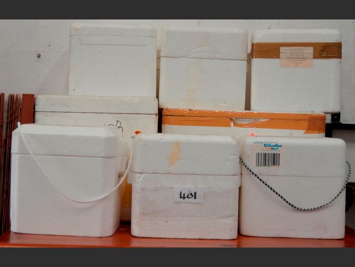 LOT: POLYSTYRENE COOLERS