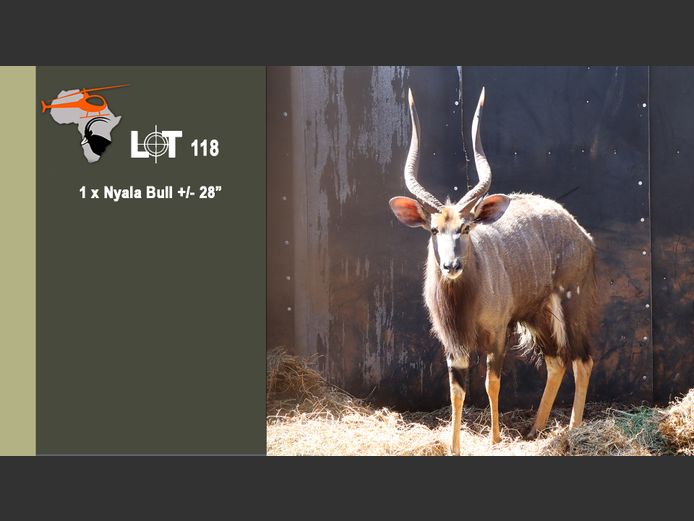 Nyala