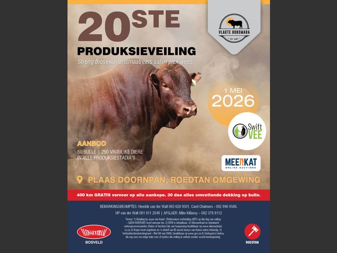 VLAKTE BONSMARA  20STE PRODUKSIEVEILING