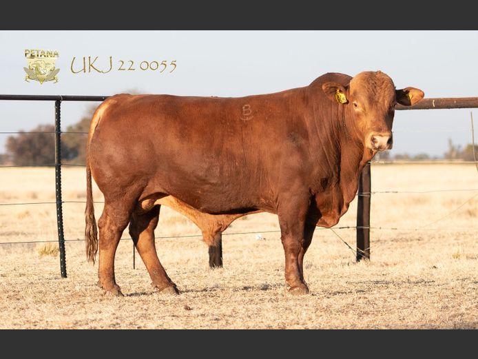 UKJ 220055