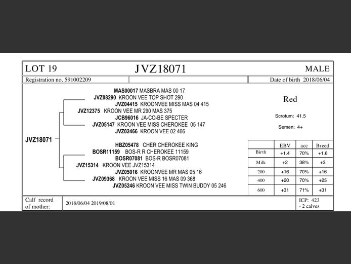 JVZ18-71