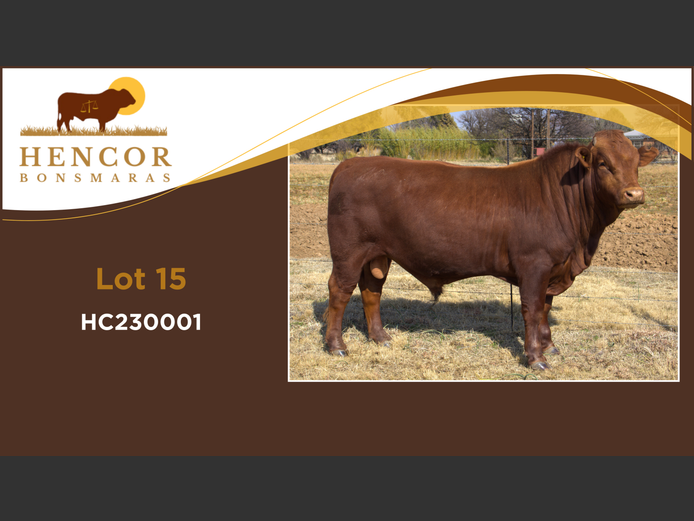 HC  230001 | HENCOR BOERDERY