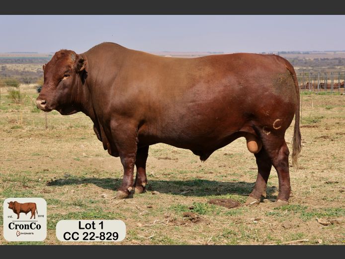CC 220829 | CRONCO AGRI