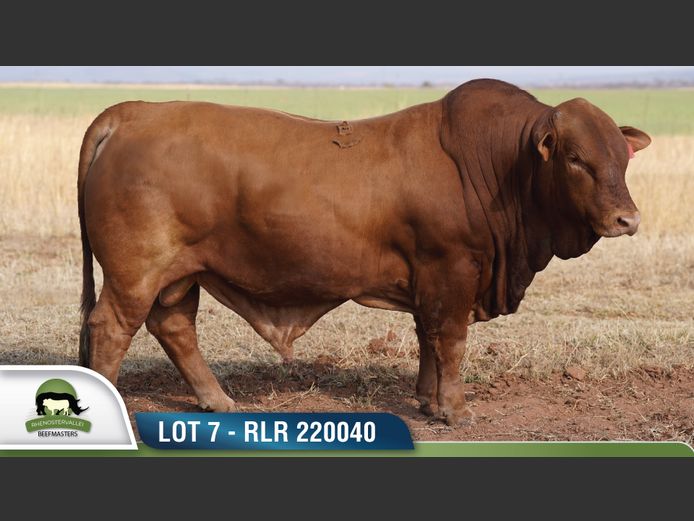 RLR 220040 | RHENOSTERVALLEI