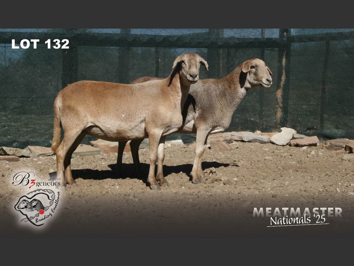 BBB 23 0054 | Charles Freeme - B3genetics Pty Ltd