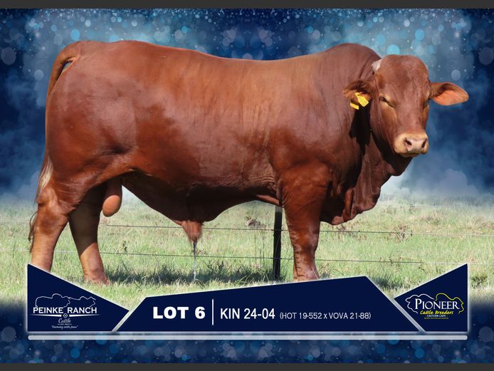 KIN 240004 | PEINKE RANCH