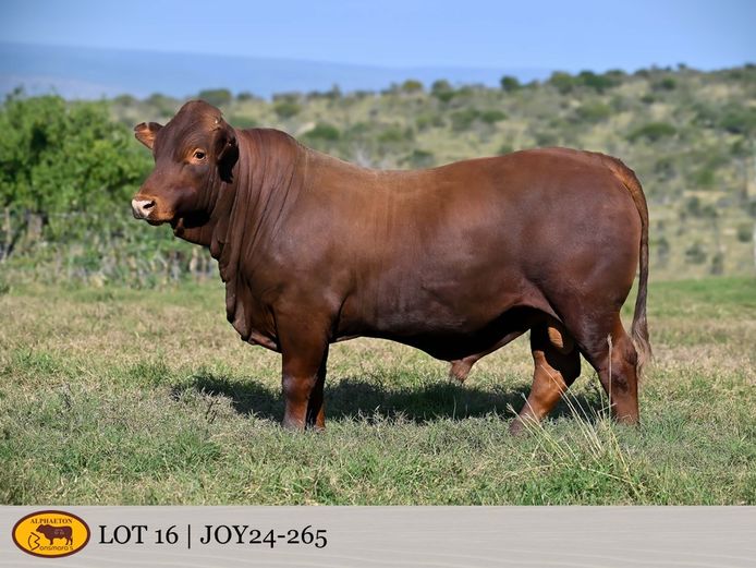 JOY240265 | FETTING LIVESTOCK TRUST