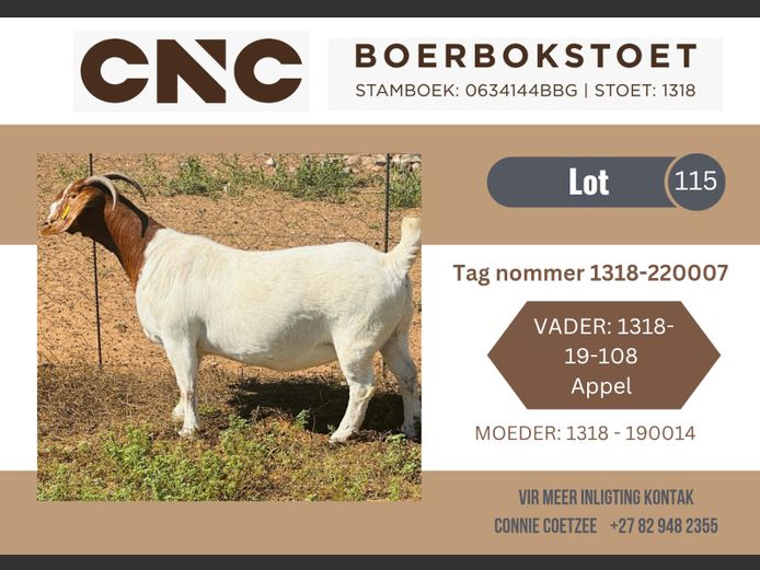 1318220007 | CNC Boerbokstoet