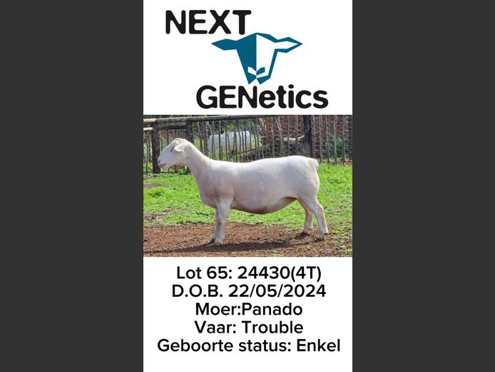 24430 | NEXT GENETICS