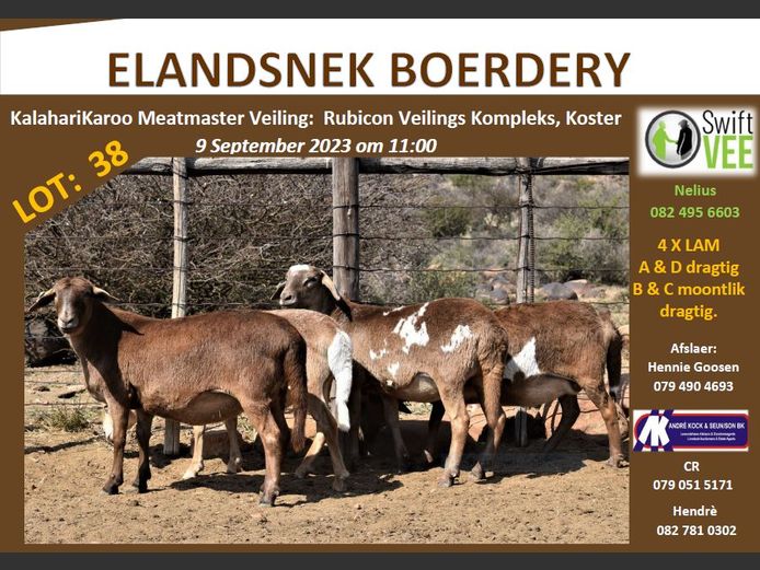 RSL 38D | ELANDSNEK BOERDERY