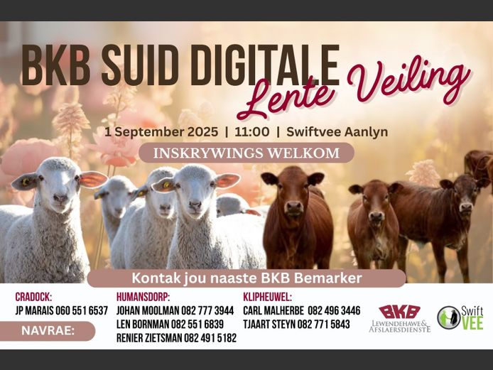 BKB SUID DIGITALE LENTE VEILING