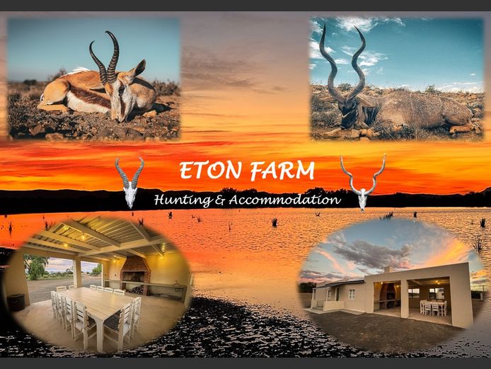 Biltong Hunt for 10 Springbuck. 2026 Hunting Season | Eton Farm