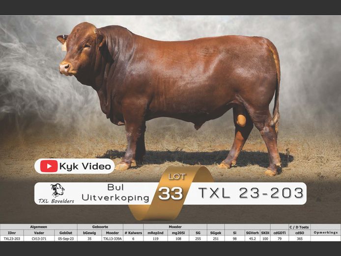 TXL23-203