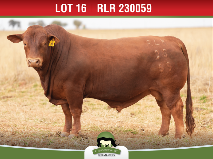 RLR 230059 | J.H. MEYER