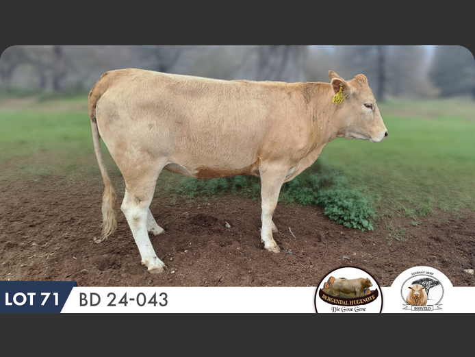 BD240043 HH | VAN EYK FAMILIE TRUST