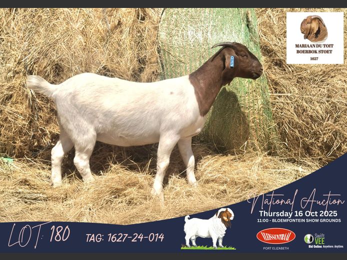 1627240014 | Mariaan du Toit (Mariaan du Toit Boerbokstoet - CMD AGRI (EDMS) )