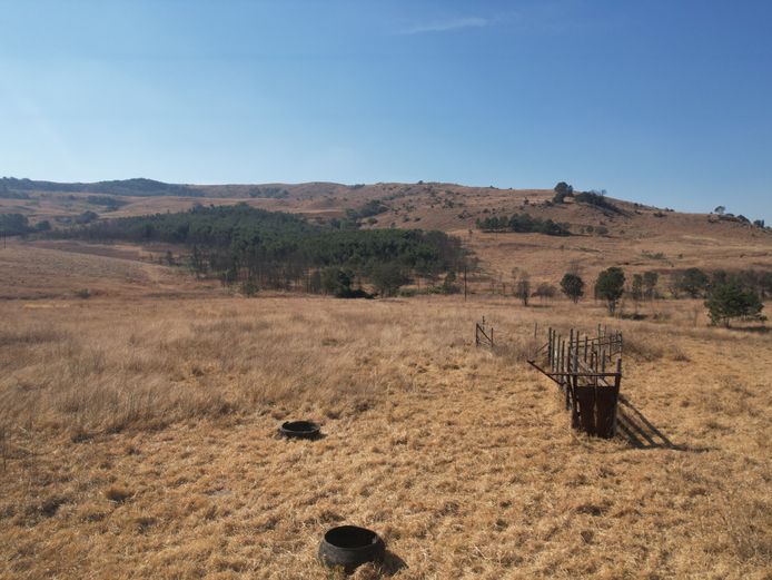Re of Portion 1 & Portion 3 of The Farm 82 Wachteenbeetjeshoek Reg Div: HT & Re of Portion 7 & Portion 20 of The Farm 31 Klipfontein Reg Div: HT