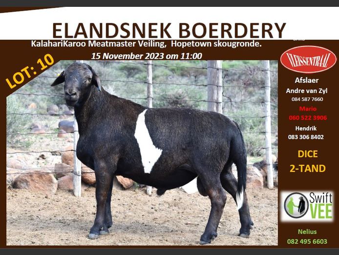 RSL B251 | ELANDSNEK BOERDERY