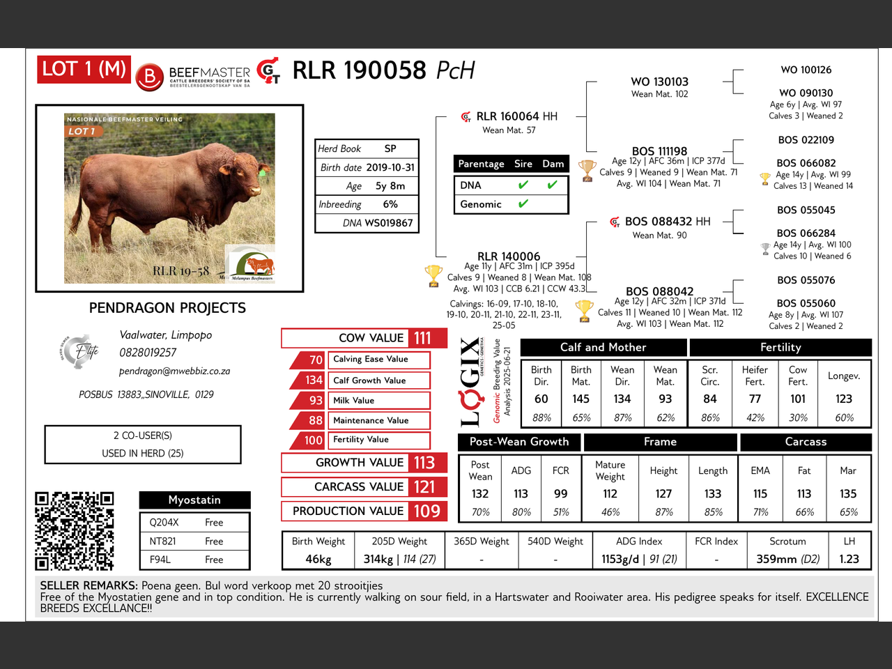 Lot 1 | 26STE NASIONALE BEEFMASTER VEILING | SwiftVEE | South Africa’s ...