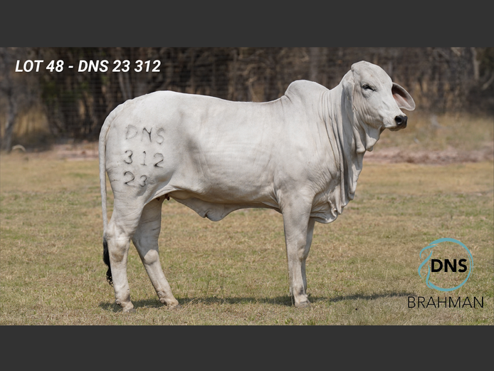 DNS23312 | JES-C BOERDERY (PTY) LTD