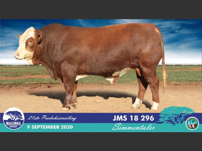 JMS18296