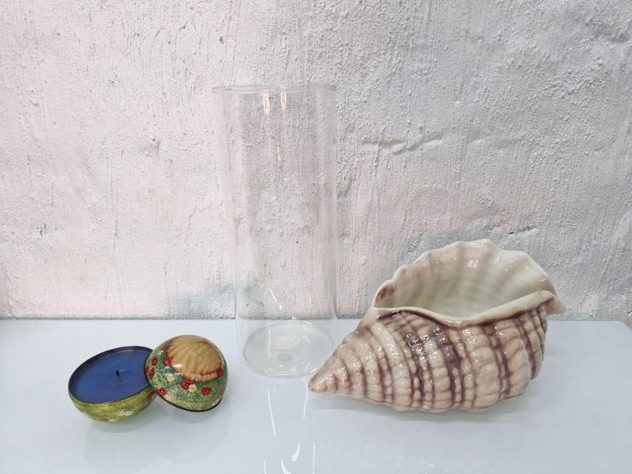 Mixed Decorative Collection with Ceramic Shell Planter, Glass Vase & Cat Candle Tin