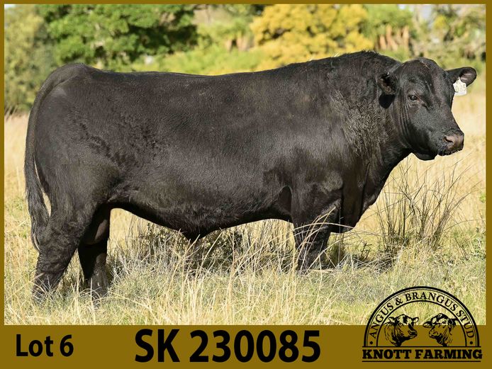 SK 230085 | KNOTT FARMING (PTY) LTD