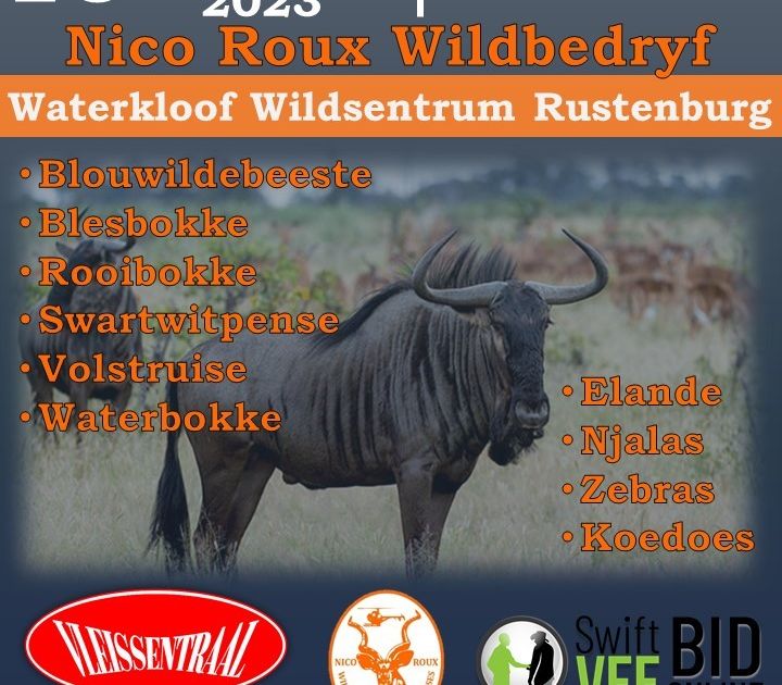 NICO ROUX WILDVEILING | SwiftVEE | South Africa’s Leading Online ...