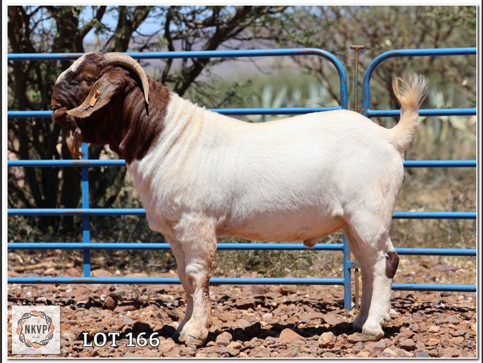 1885 24 0041 | LOUIS J VAN RENSBURG