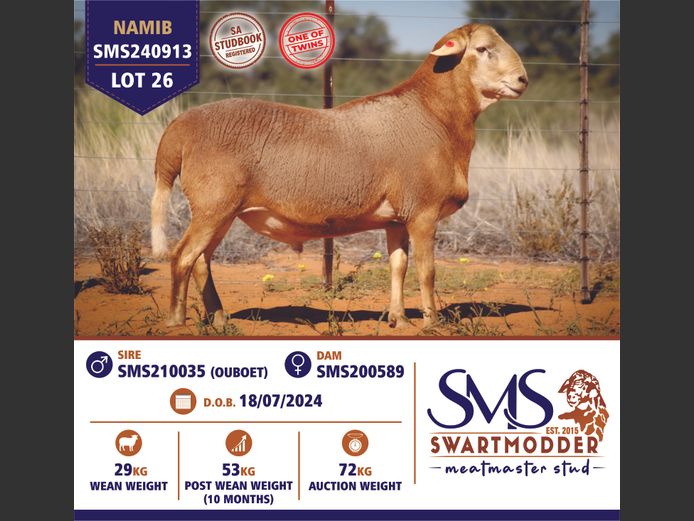 SMS240913 | SWARTMODDER MEATMASTER STUD