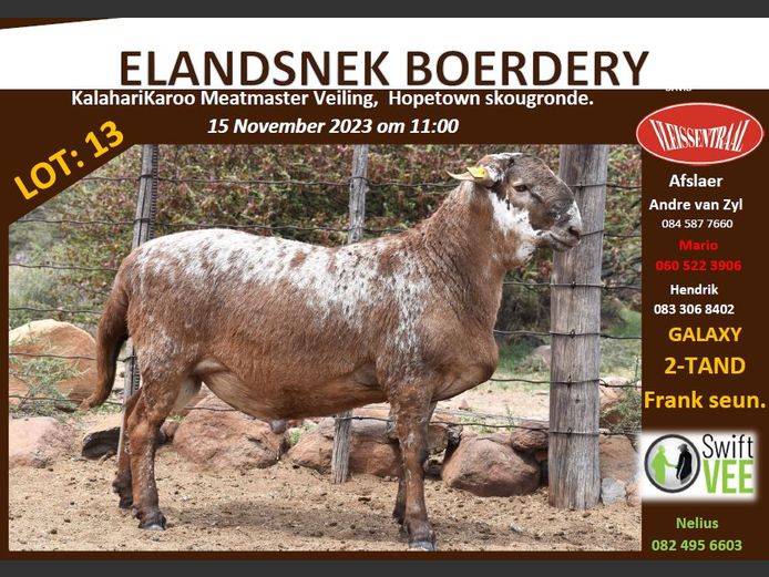 RSL PI159 | ELANDSNEK BOERDERY