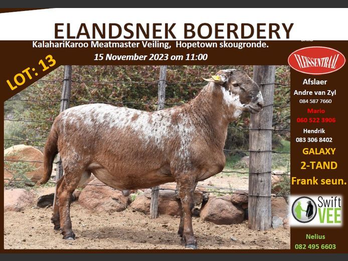 RSL PI159 | ELANDSNEK BOERDERY