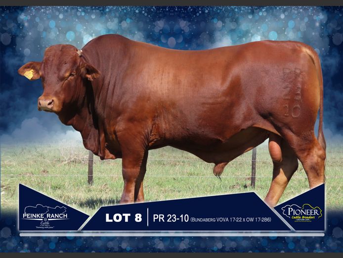 PR 230010 | PEINKE RANCH