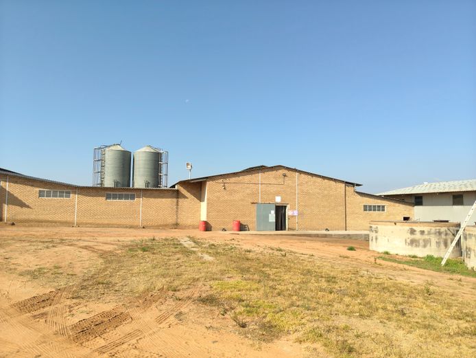 H26 2006 H-TYPE AUTOMATIC TECNO LAYER EGG CAGES WITH CONTROL ROOM AND FEED TANKS (BUILDING INCLUDED!)