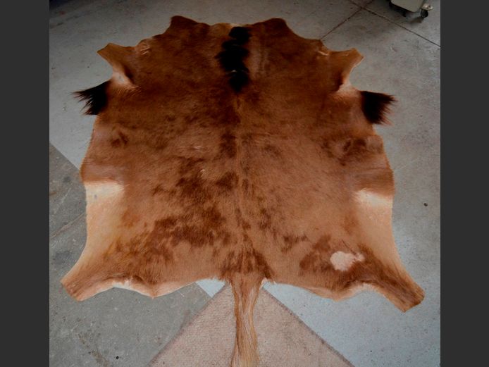 BLUE WILDEBEEST HIDE, 140 x 120cm